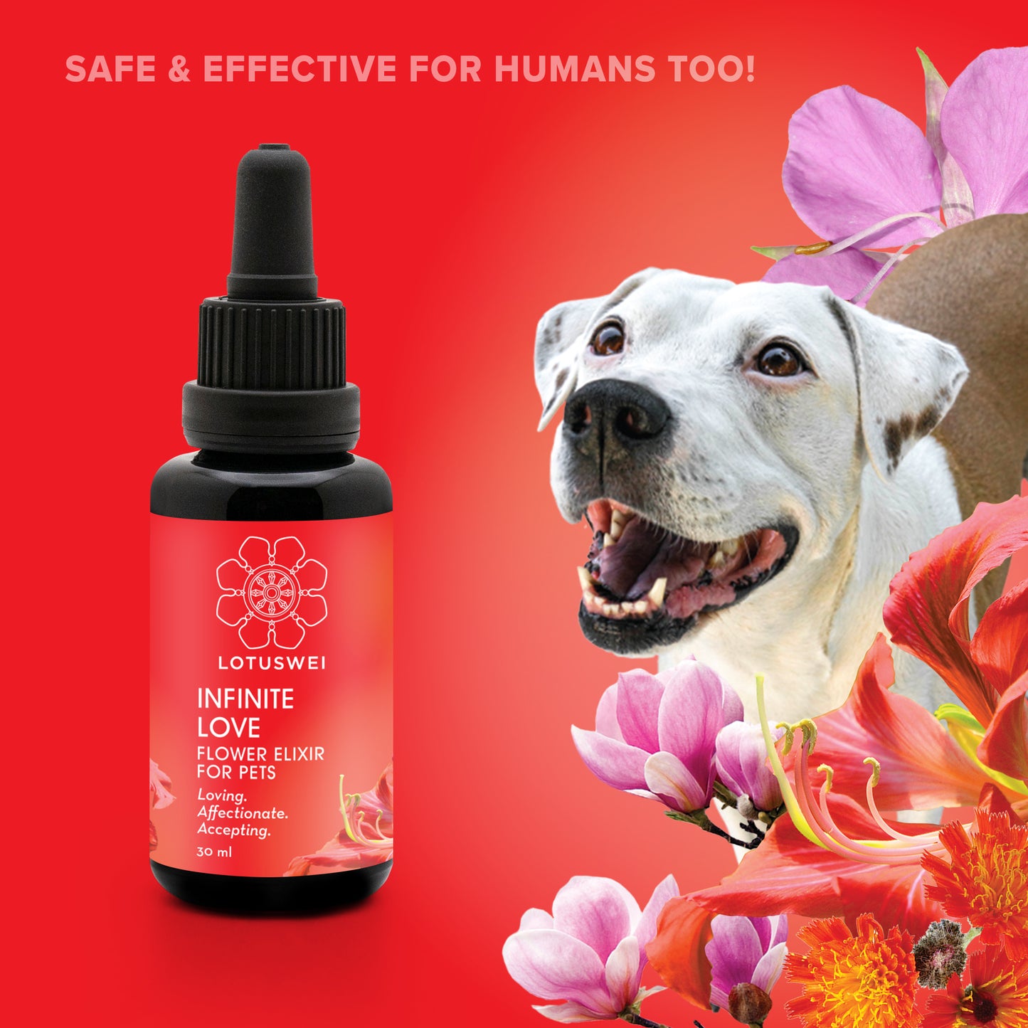 Infinite Love for pets combination elixir essence 30ml