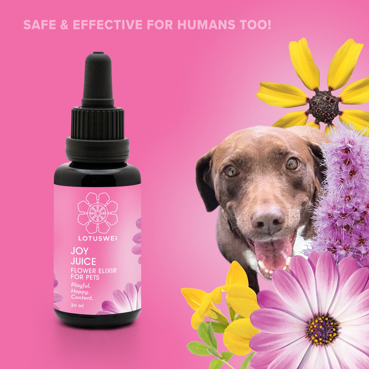 Joy Juice for pets combination elixir essence 30ml