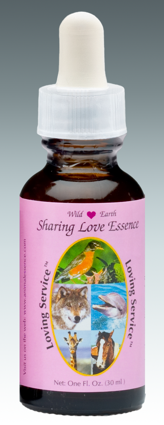 Loving Service Sharing Love combination animal essence 30ml