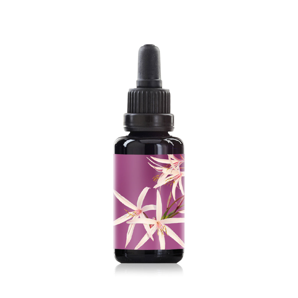 Giant spider lily flower elixir essence 30ml