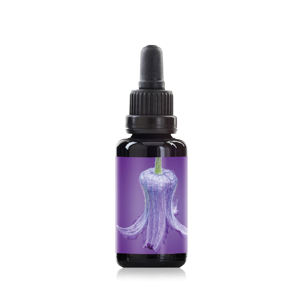 Sugarbowl flower elixir essence 30ml