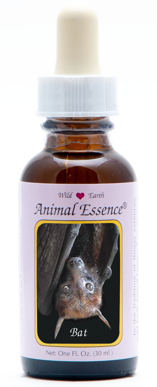 Bat animal essence 30ml