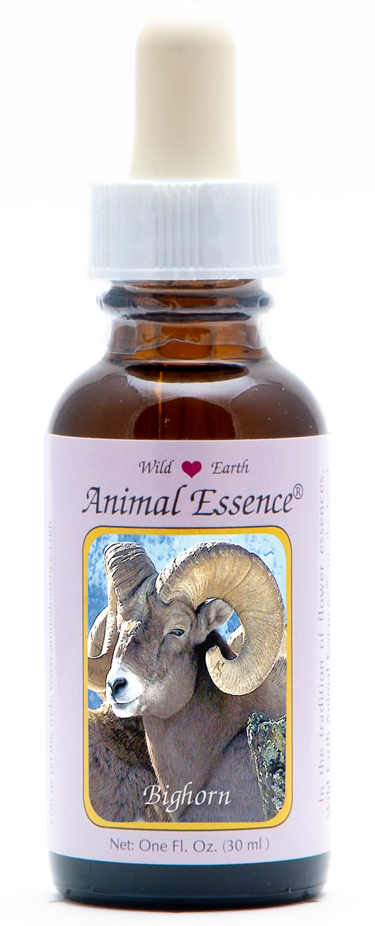 Bighorn Sheep animal essence 30ml