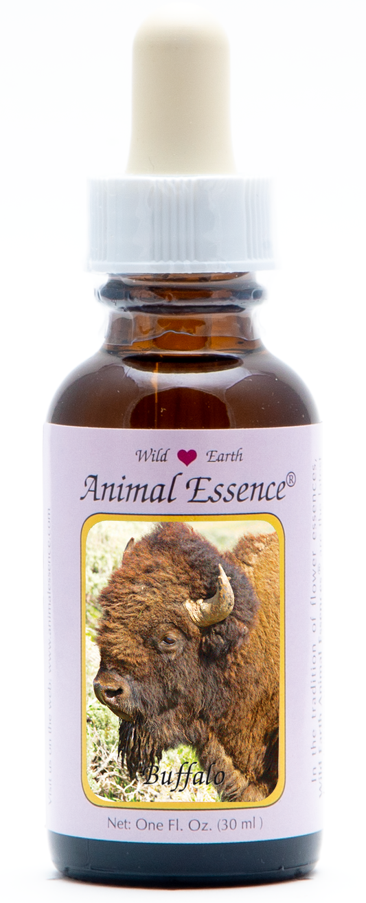 Buffalo animal essence 30ml