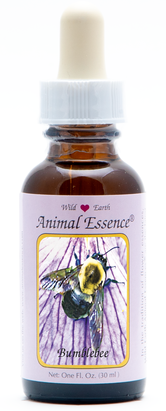 Bumblebee animal essence 30ml
