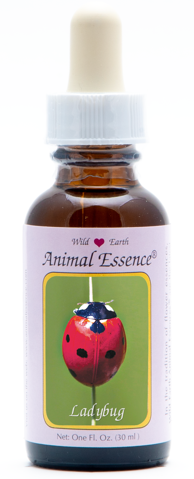 Ladybug animal essence 30ml