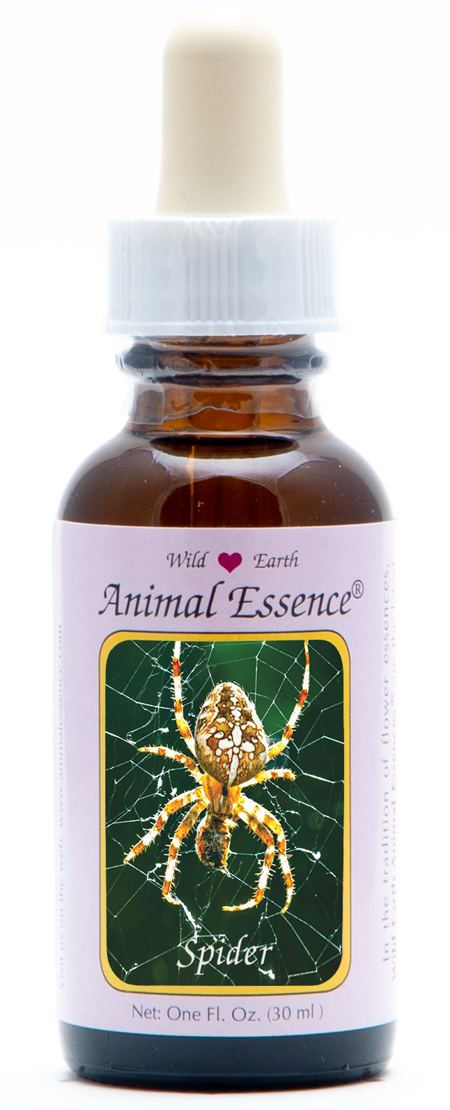 Spider animal essence 30ml