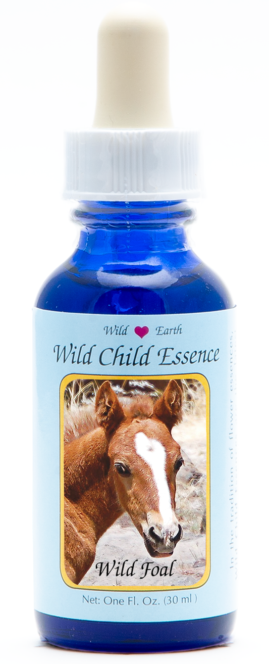 Wild Foal animal essence 30ml