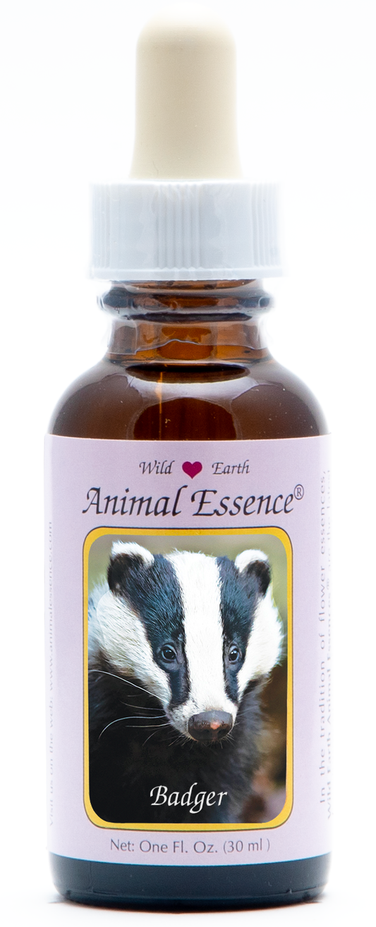 Badger animal essence 30ml