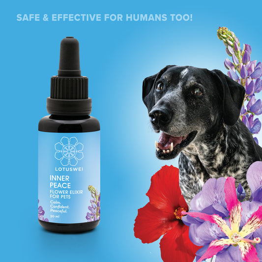 Inner Peace for pets combination elixir essence 30ml