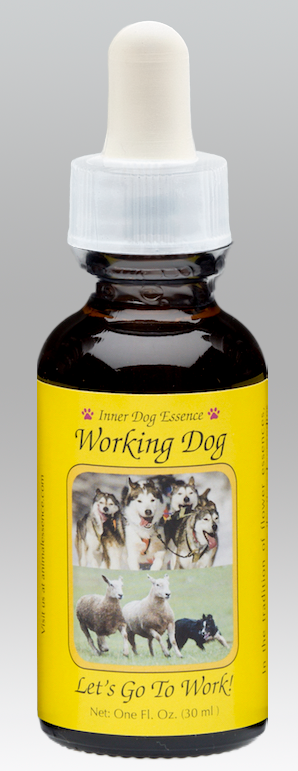 Working Dog Inner Dog combination animal essence 30ml