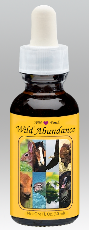 Wild Abundance combination animal essence 30ml
