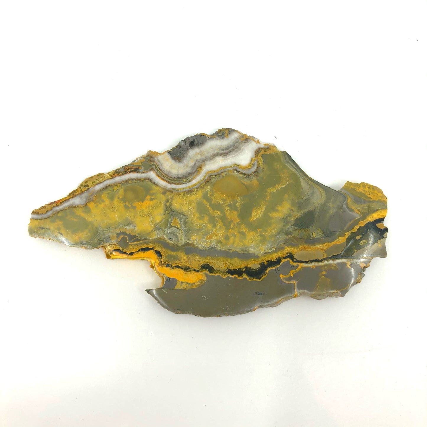 JASPBB6 Jasper, bumblebee