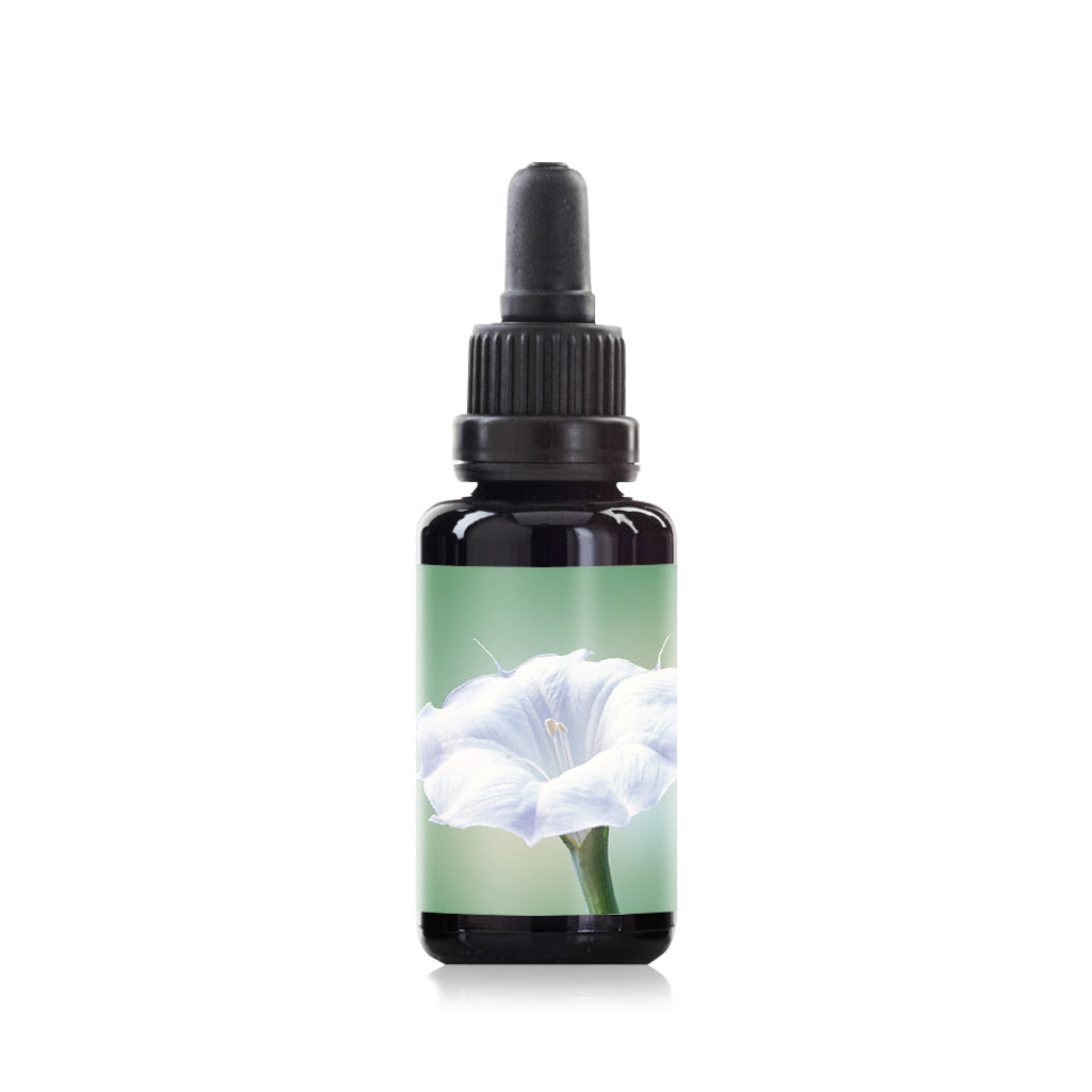 Sacred datura flower elixir essence 30ml
