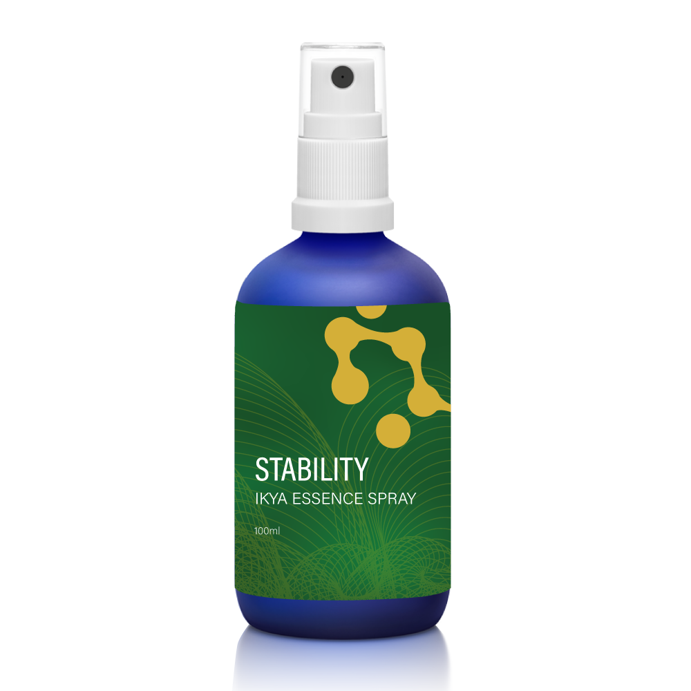 Stability essence spray 100ml