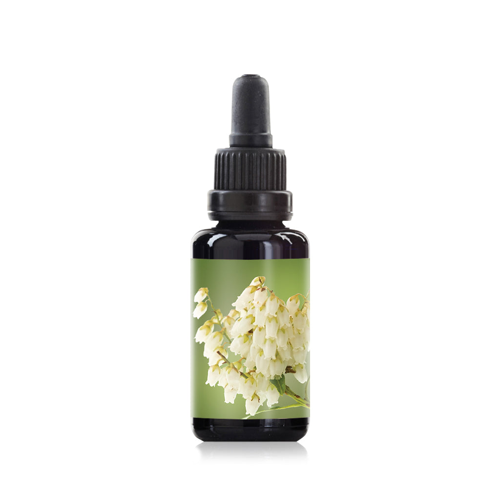 Pieris flower elixir essence 30ml