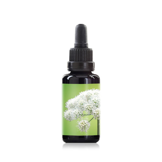 Angelica flower elixir essence 30ml