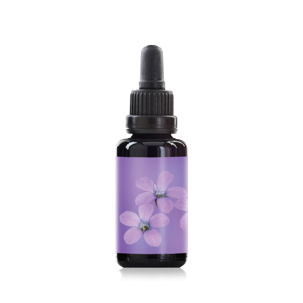 Star flower elixir essence 30ml