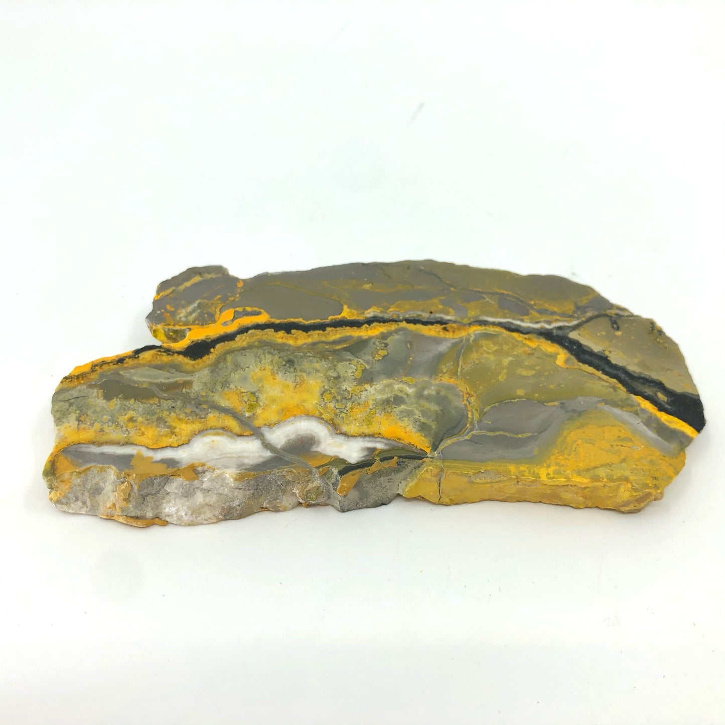 JASPBB1 Jasper, bumblebee