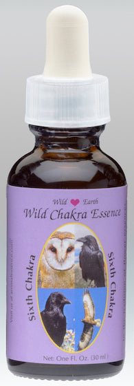 Wild Chakras - sixth chakra 6 combination animal essence 30ml