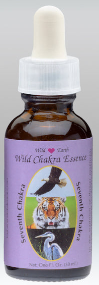 Wild Chakras - seventh chakra 7 combination animal essence 30ml