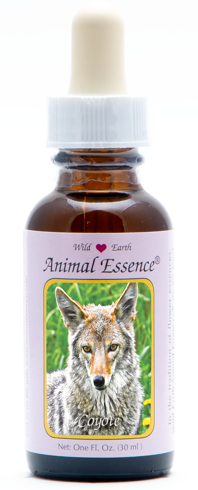 Coyote animal essence 30ml