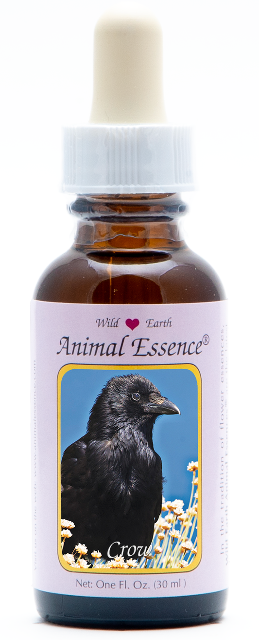 Crow animal essence 30ml