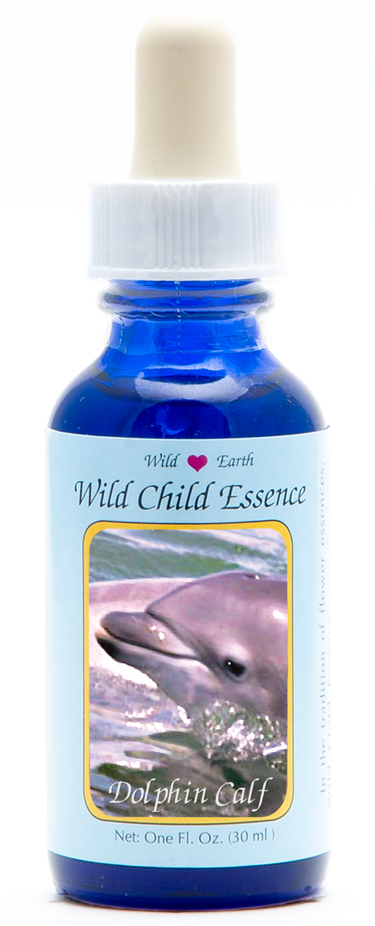 Dolphin calf animal essence 30ml
