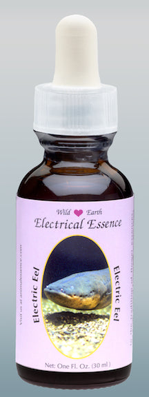 Electrical combination animal essence 30ml