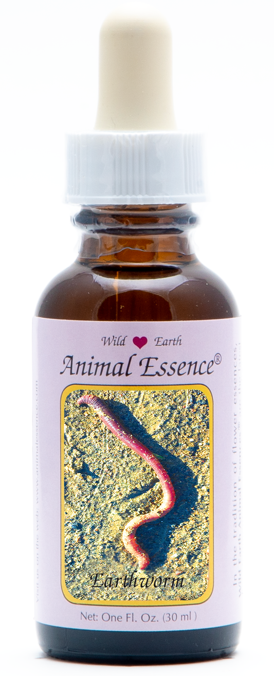 Earthworm animal essence 30ml