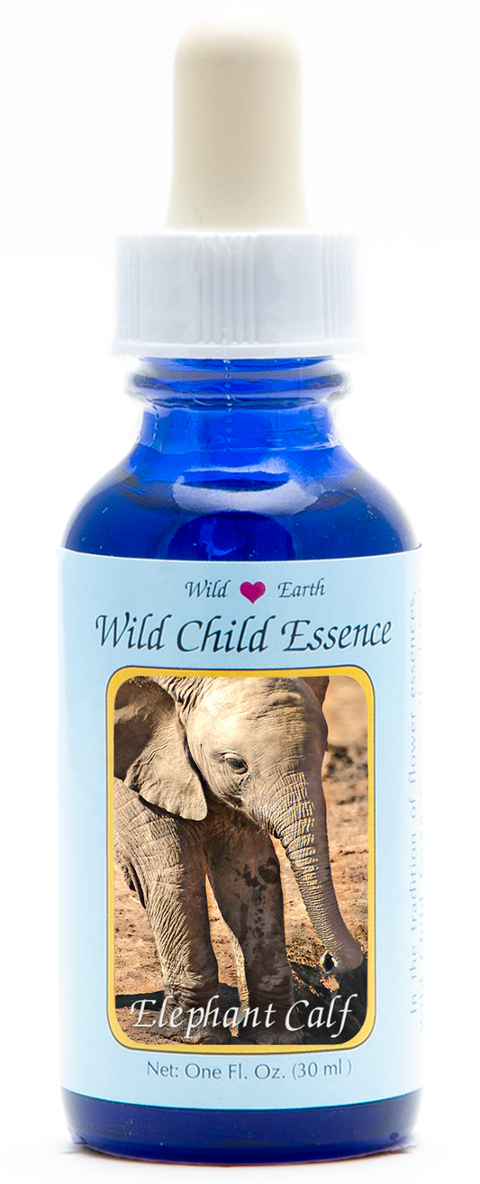 Elephant calf animal essence 30ml