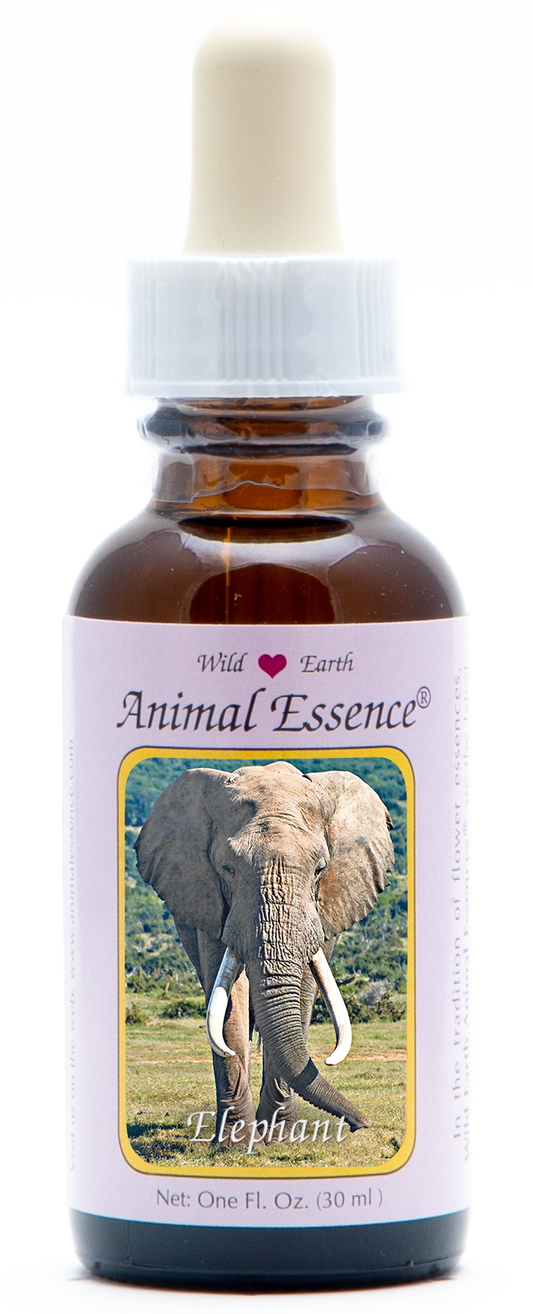 Elephant animal essence 30ml