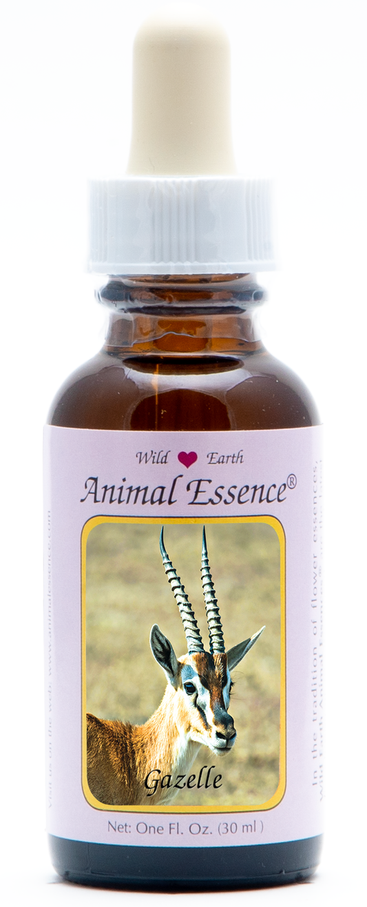 Gazelle animal essence 30ml