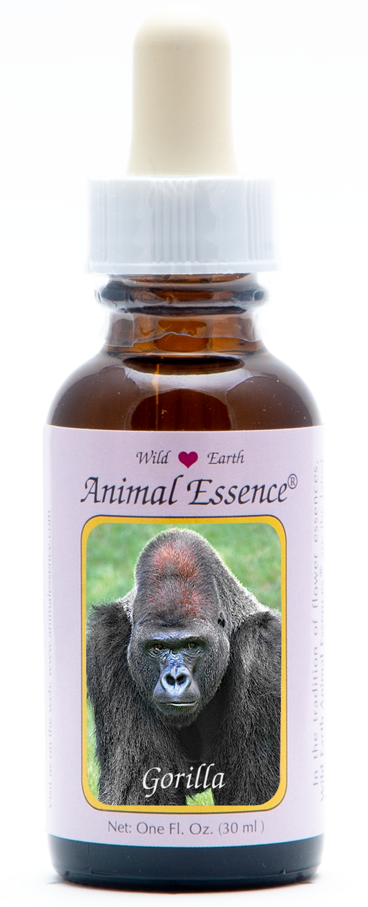 Gorilla animal essence 30ml