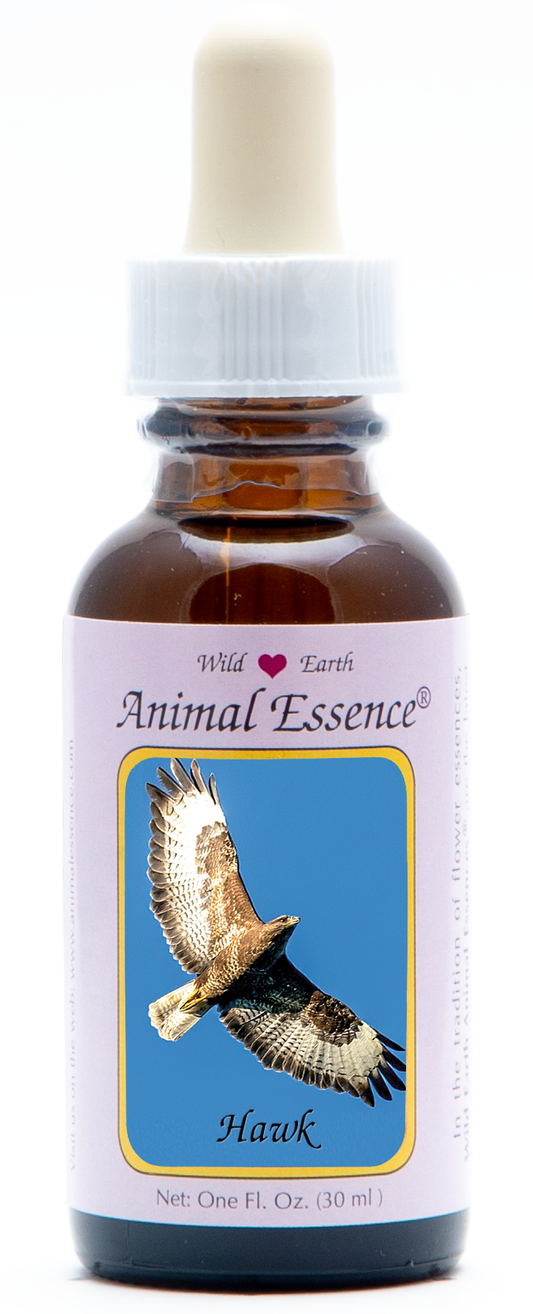 Hawk animal essence 30ml