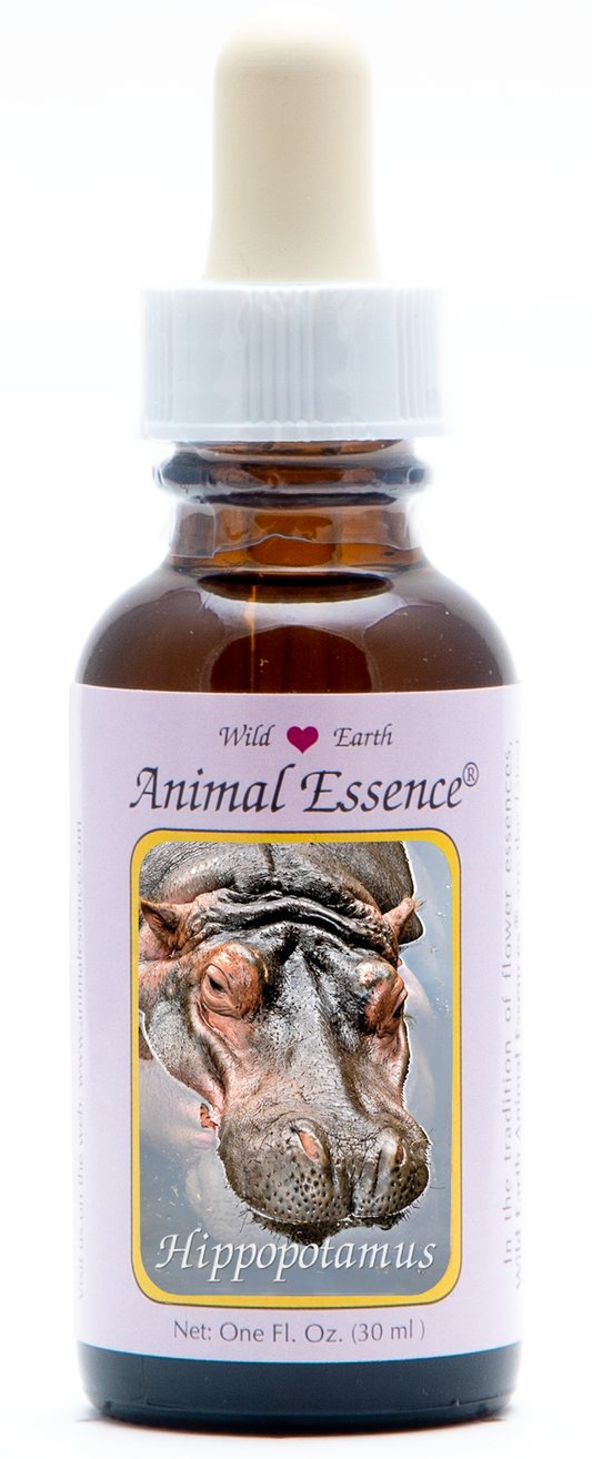 Hippopotamus animal essence 30ml