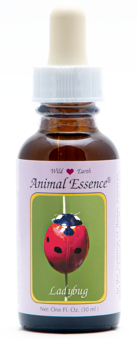 Ladybug animal essence 30ml