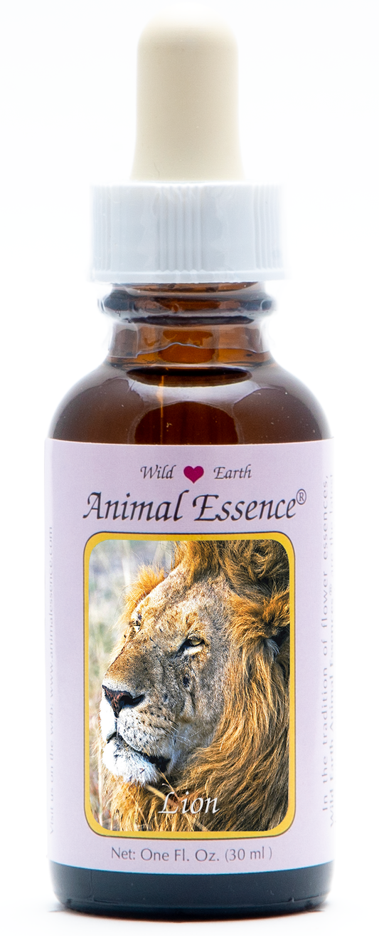 Lion animal essence 30ml
