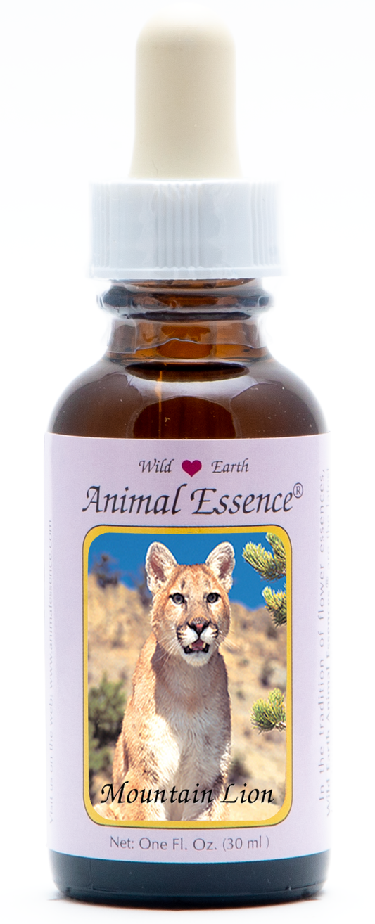 Mountain Lion animal essence 30ml