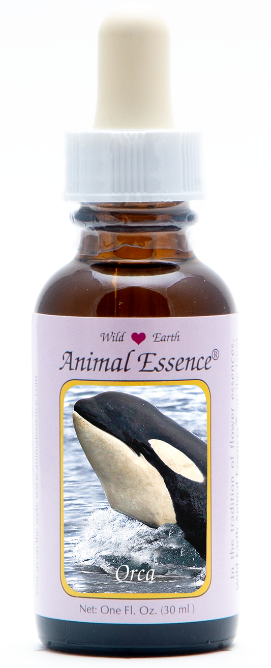 Orca animal essence 30ml
