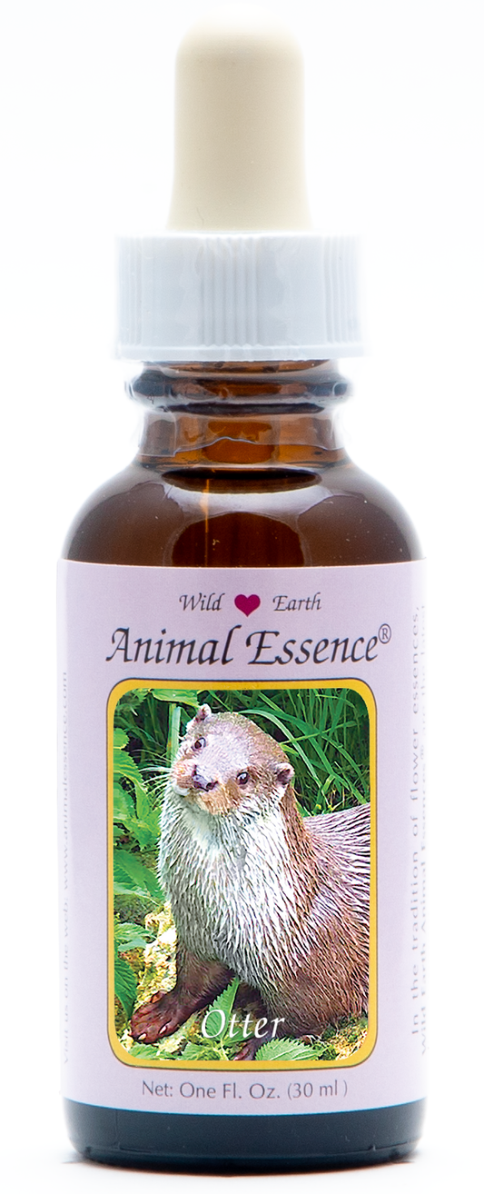 Otter animal essence 30ml