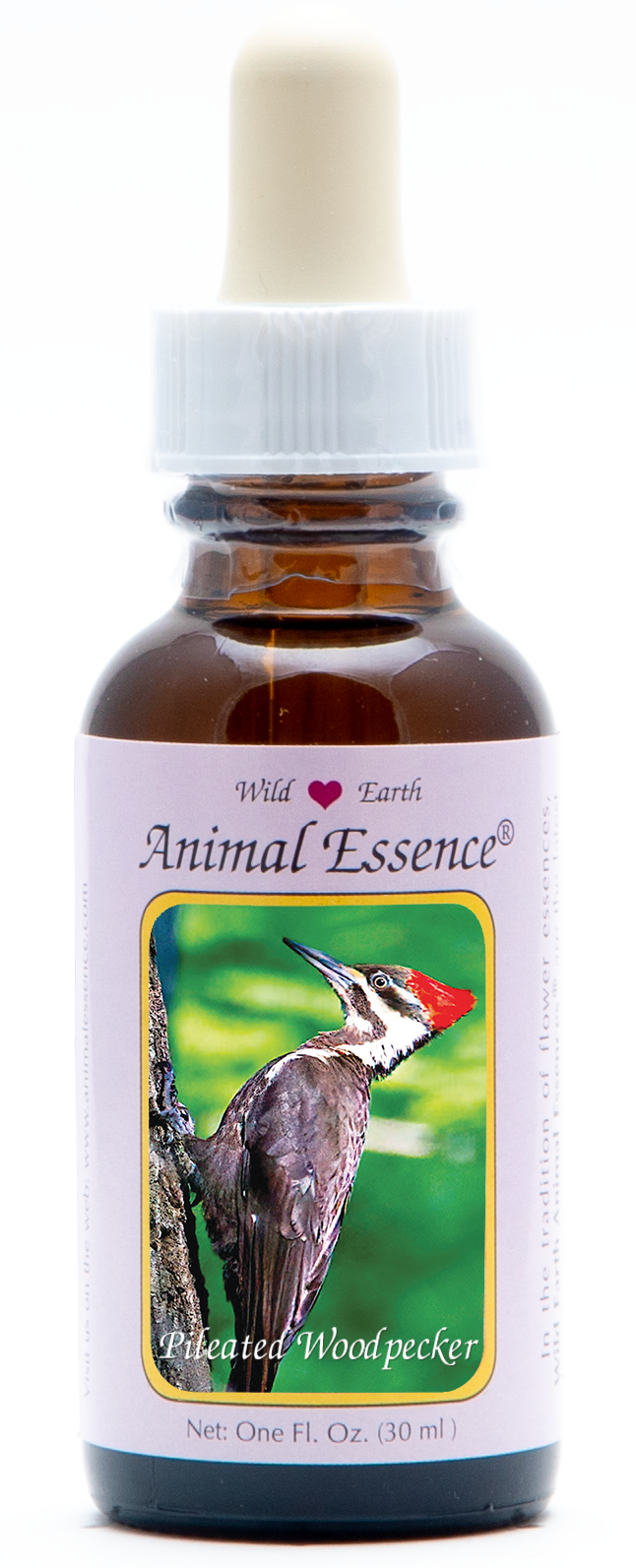 Pileated Woodpecker animal essence 30ml