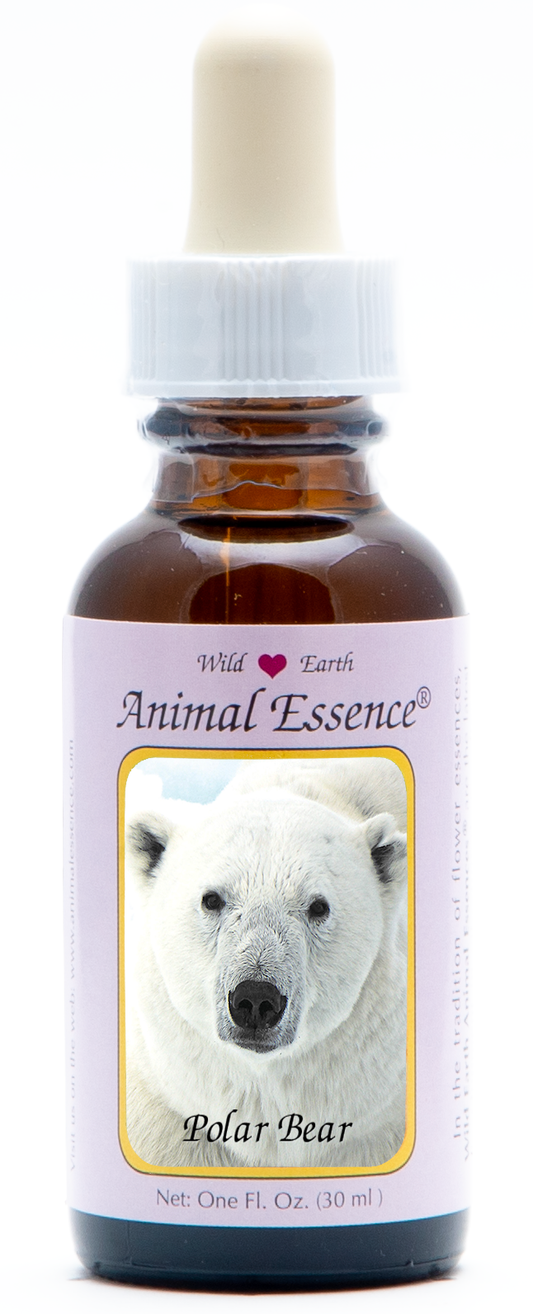Polar bear animal essence 30ml
