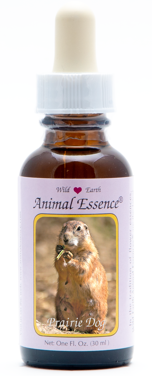 Prairie dog animal essence 30ml