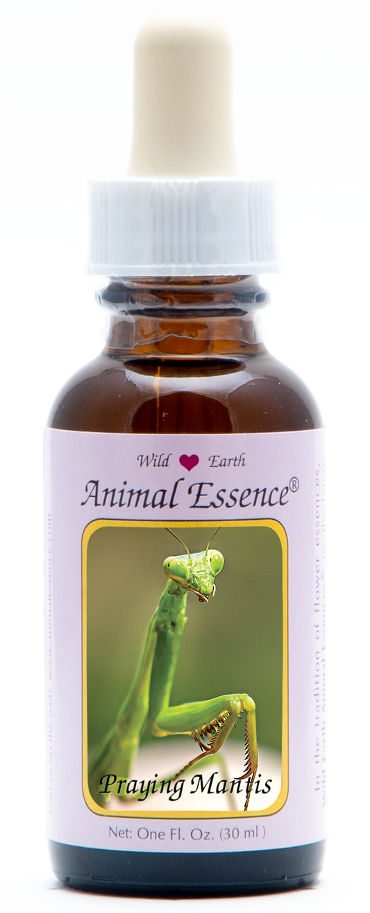 Praying Mantis animal essence 30ml