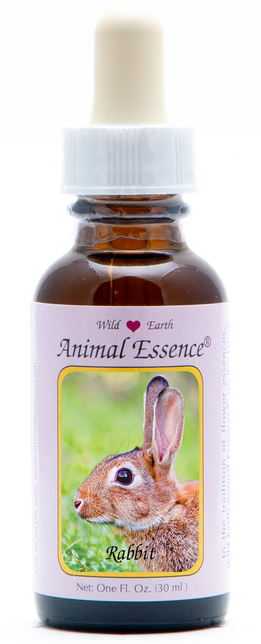 Rabbit animal essence 30ml