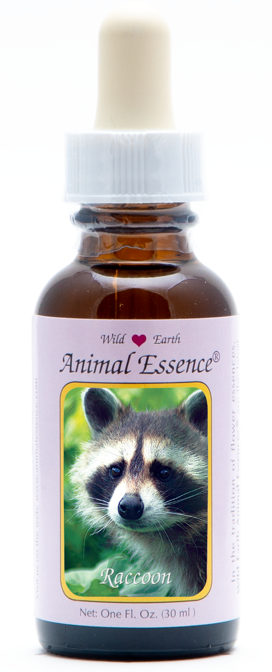 Raccoon animal essence 30ml