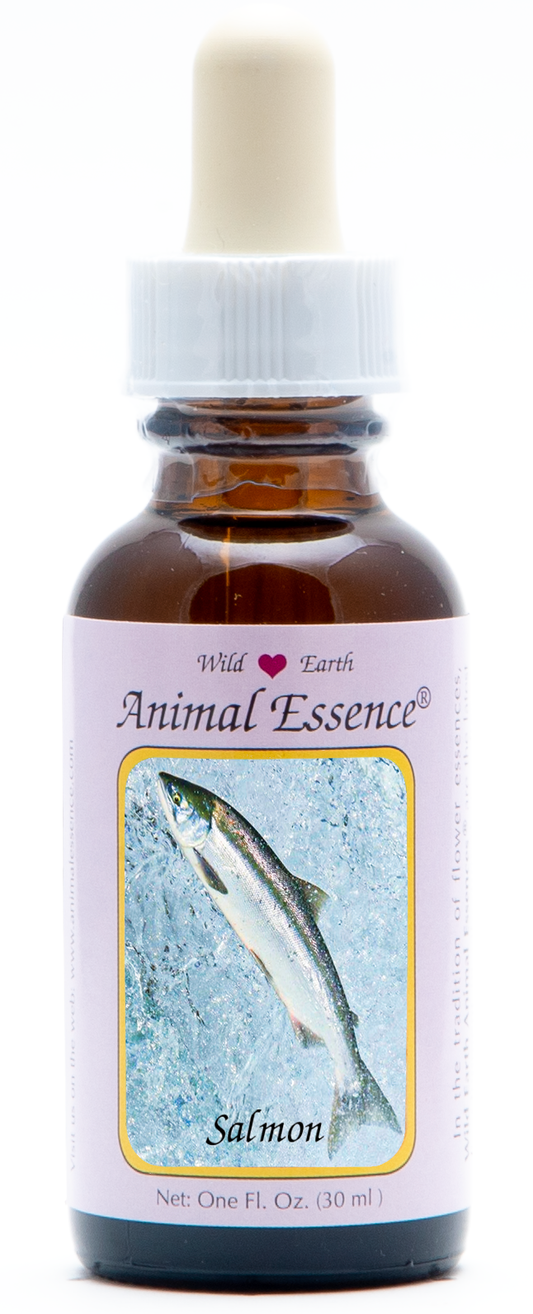 Salmon animal essence 30ml