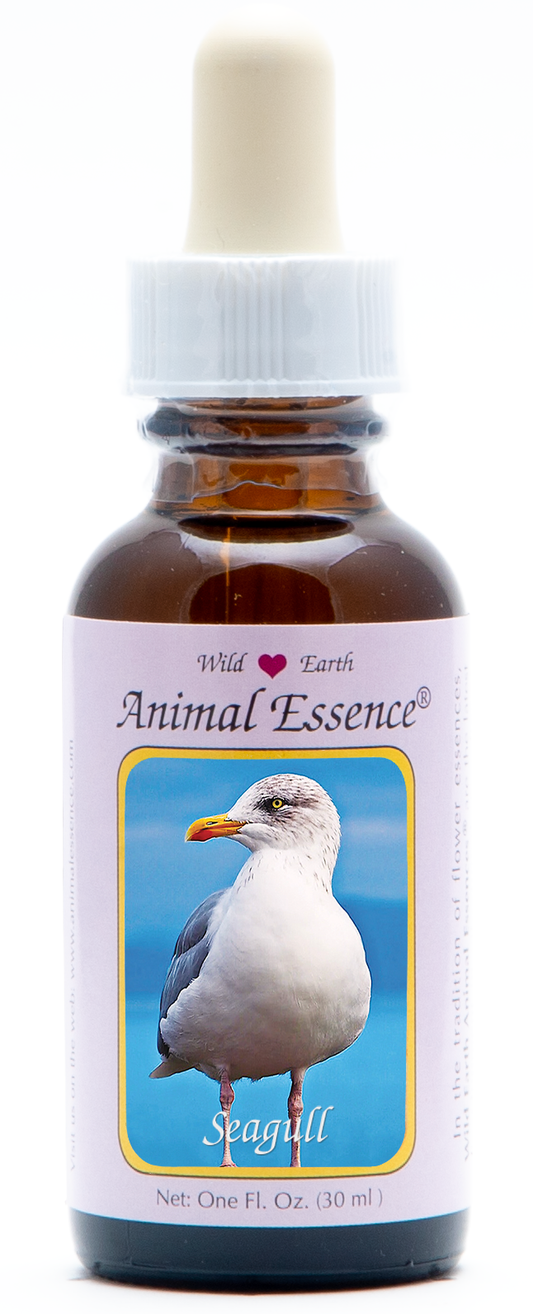 Seagull animal essence 30ml