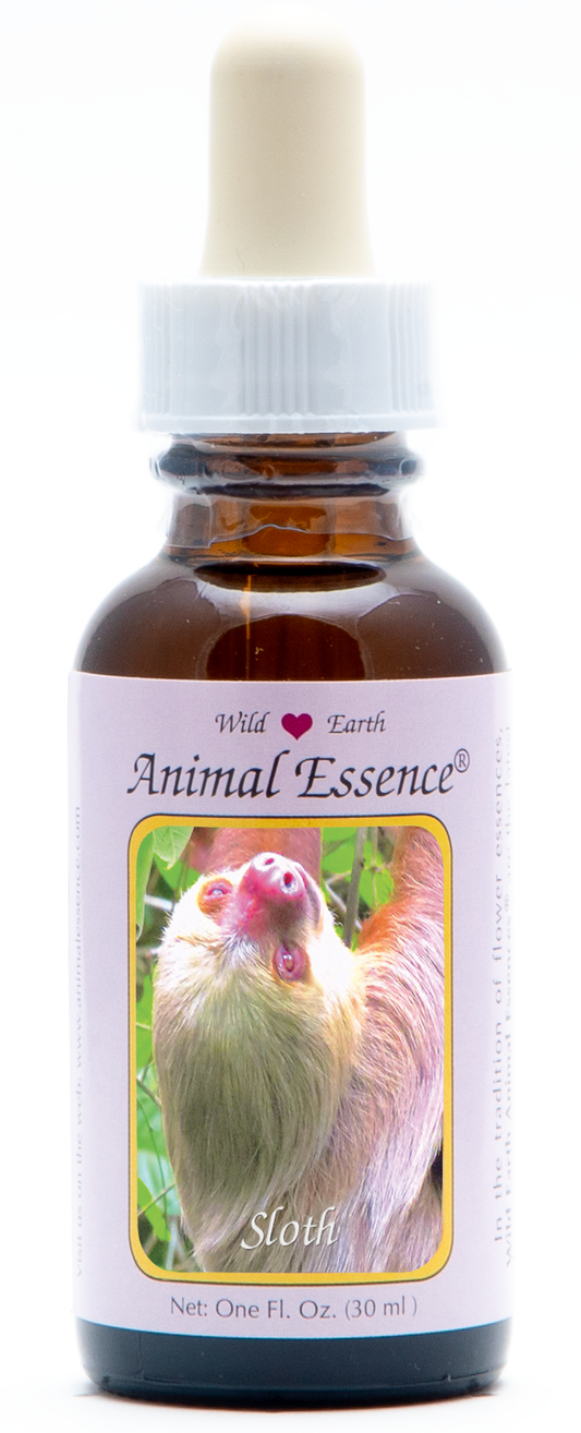 Sloth animal essence 30ml
